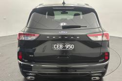 2022 Ford Escape ST-Line