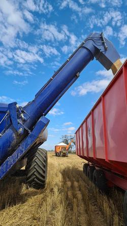 Davimac 30T Single Axle Chaser Bin
