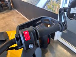 2024 Can-Am Ryker Rally 900 Ryker Yellow