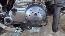 2025 Yamaha 2025 Yamaha 50CC TTR50E Minibike Blue