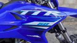 2025 Yamaha 2025 Yamaha 50CC TTR50E Minibike Blue