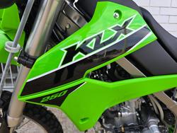 2025 Kawasaki KLX250 Green