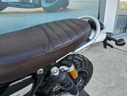 2020 Triumph SCRAMBLER 1200 XC Green