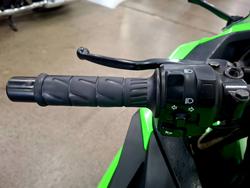 2014 Kawasaki NINJA 300 ABS Green