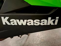 2014 Kawasaki NINJA 300 ABS Green