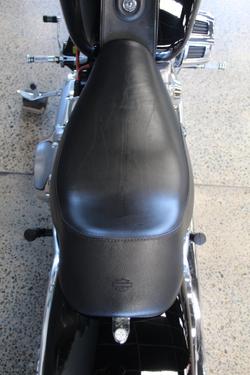 2009 Harley-davidson FXST SOFTAIL STANDARD