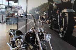 2009 Harley-davidson FXST SOFTAIL STANDARD