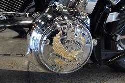 2009 Harley-davidson FXST SOFTAIL STANDARD