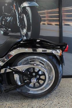 2009 Harley-davidson FXST SOFTAIL STANDARD