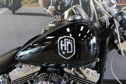 2009 Harley-davidson FXST SOFTAIL STANDARD