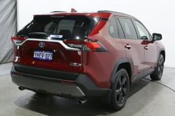 2020 Toyota
                RAV4 Cruiser