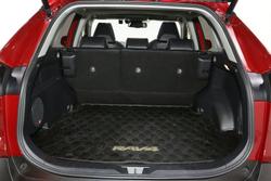 2020 Toyota
                RAV4 Cruiser