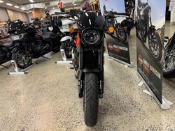 2024 Harley-Davidson X 500 X Orange