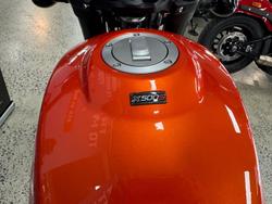 2024 Harley-Davidson X 500 X Orange