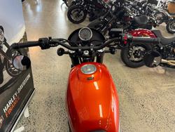 2024 Harley-Davidson X 500 X Orange