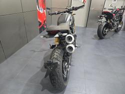2023 Ducati Scrambler 1100 Sport Pro Scrambler Black