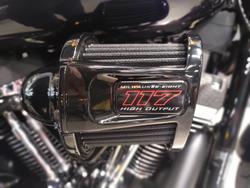 2025 Harley-Davidson Low Rider S 117 (FXLRS) Softail