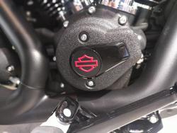 2025 Harley-Davidson Low Rider S 117 (FXLRS) Softail