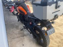 2021 HARLEY-DAVIDSON RA1250S PAN AMERICA SPECIAL Orange