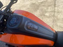 2021 HARLEY-DAVIDSON RA1250S PAN AMERICA SPECIAL Orange