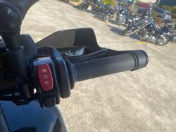 2024 CFMOTO 450 MT Black