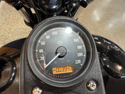 2017 Harley-davidson FXDLS LOW RIDER S Black