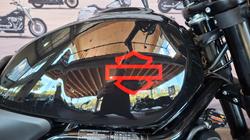 2024 Harley-davidson HD500-10A H-DX X500 Vivid Black