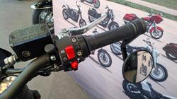 2024 Harley-davidson HD500-10A H-DX X500 Vivid Black
