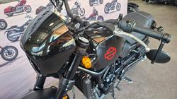 2024 Harley-davidson HD500-10A H-DX X500 Vivid Black