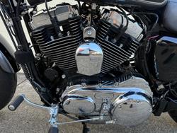 2014 Harley-Davidson 1200 Custom (XL1200C) Sportster