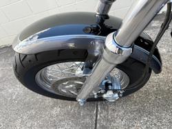2014 Harley-Davidson 1200 Custom (XL1200C) Sportster