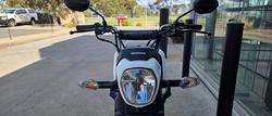 2024 Honda NVA110 NAVI WHITE