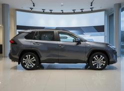 2019 Toyota RAV4 GXL MXAA52R Graphite