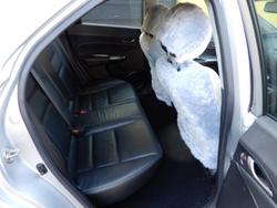 2009 Honda Civic Sport 8th Gen MY09 Silver
