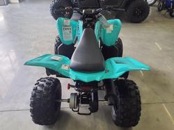 2025 Yamaha Raptor 110 (YFM110R) Raptor