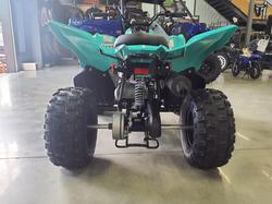 2025 Yamaha Raptor 110 (YFM110R) Raptor