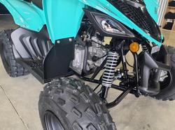 2025 Yamaha Raptor 110 (YFM110R) Raptor
