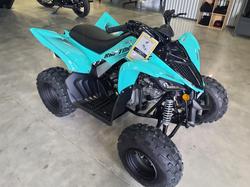 2025 Yamaha Raptor 110 (YFM110R) Raptor
