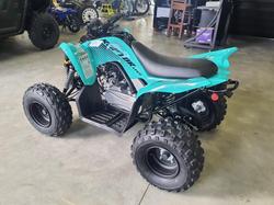 2025 Yamaha Raptor 110 (YFM110R) Raptor
