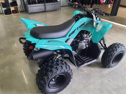 2025 Yamaha Raptor 110 (YFM110R) Raptor
