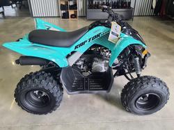 2025 Yamaha Raptor 110 (YFM110R) Raptor