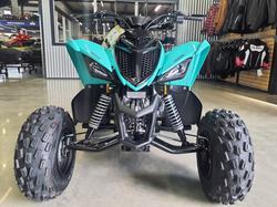 2025 Yamaha Raptor 110 (YFM110R) Raptor