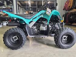 Yamaha Raptor 110 (YFM110R)
