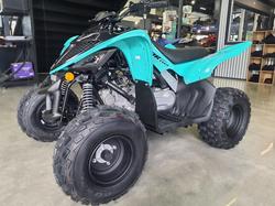 2025 Yamaha Raptor 110 (YFM110R) Raptor
