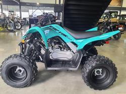 2025 Yamaha Raptor 110 (YFM110R) Raptor