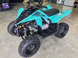 2025 Yamaha Raptor 110 (YFM110R) Raptor
