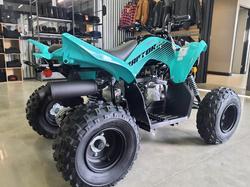 2025 Yamaha Raptor 110 (YFM110R) Raptor