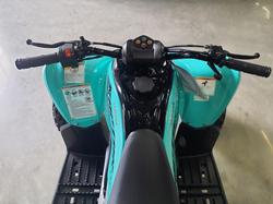 2025 Yamaha Raptor 110 (YFM110R) Raptor