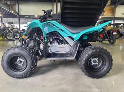 2025 Yamaha Raptor 110 (YFM110R) Raptor