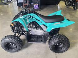 2025 Yamaha Raptor 110 (YFM110R) Raptor
